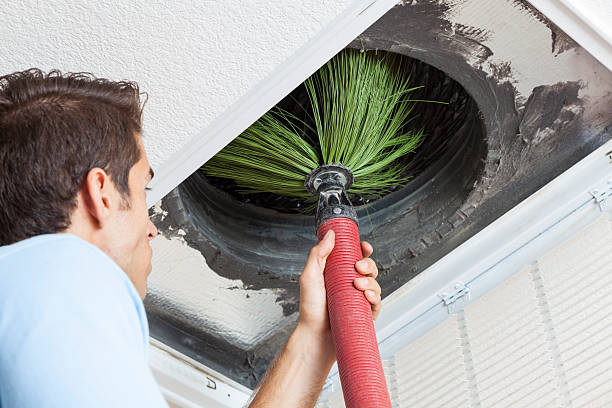 Best Affordable HVAC Duct Cleaning  in Cibecue, AZ